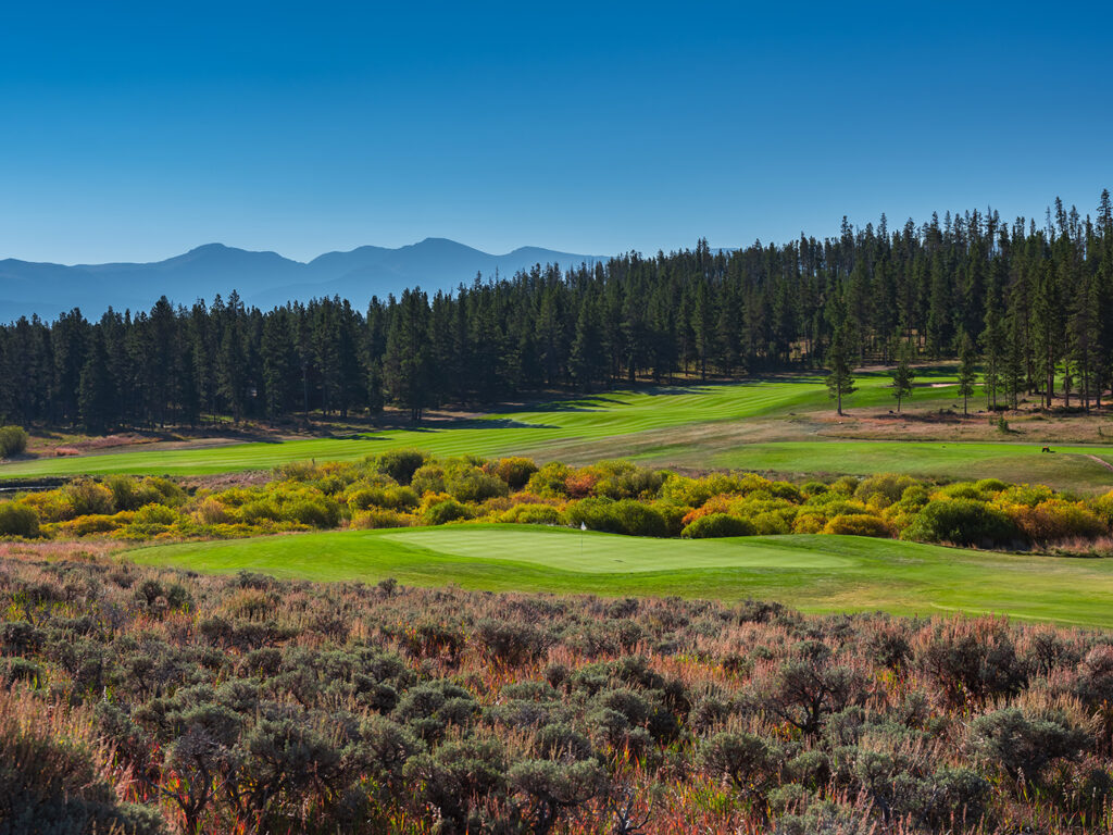 Clear blue skies arch over Pole Creek golf course with meticulously maintained fairways that weave between patches of colorful wild shrubs and dense evergreen forests. 