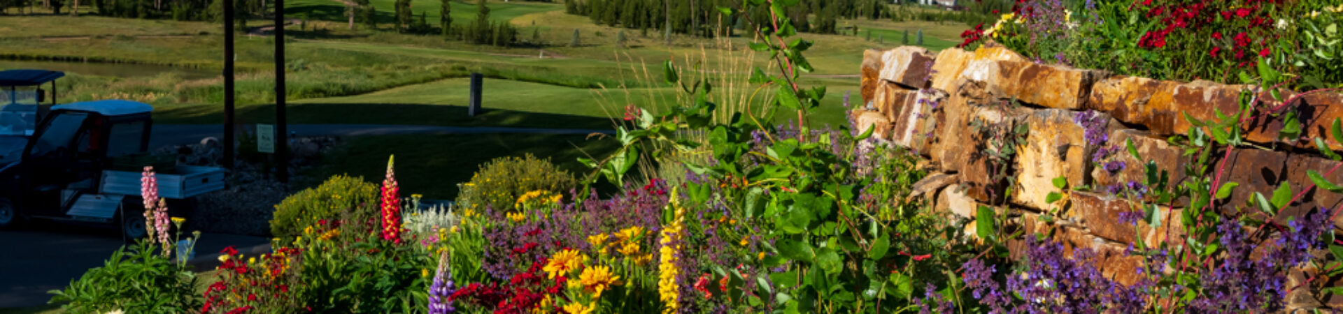 wildflowers overlooking Pole Creek Golf Course